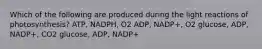 Which of the following are produced during the light reactions of photosynthesis? ATP, NADPH, O2 ADP, NADP+, O2 glucose, ADP, NADP+, CO2 glucose, ADP, NADP+