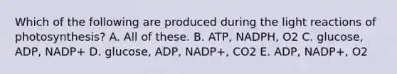 Which of the following are produced during the light reactions of photosynthesis? A. All of these. B. ATP, NADPH, O2 C. glucose, ADP, NADP+ D. glucose, ADP, NADP+, CO2 E. ADP, NADP+, O2