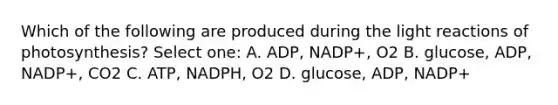 Which of the following are produced during the <a href='https://www.questionai.com/knowledge/kSUoWrrvoC-light-reactions' class='anchor-knowledge'>light reactions</a> of photosynthesis? Select one: A. ADP, NADP+, O2 B. glucose, ADP, NADP+, CO2 C. ATP, NADPH, O2 D. glucose, ADP, NADP+