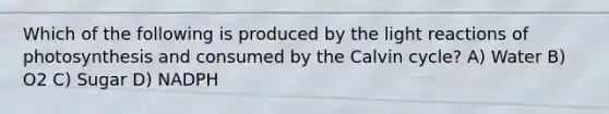 Which of the following is produced by the light reactions of photosynthesis and consumed by the Calvin cycle? A) Water B) O2 C) Sugar D) NADPH