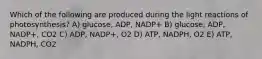 Which of the following are produced during the light reactions of photosynthesis? A) glucose, ADP, NADP+ B) glucose, ADP, NADP+, CO2 C) ADP, NADP+, O2 D) ATP, NADPH, O2 E) ATP, NADPH, CO2