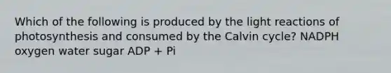 Which of the following is produced by the light reactions of photosynthesis and consumed by the Calvin cycle? NADPH oxygen water sugar ADP + Pi