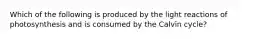 Which of the following is produced by the light reactions of photosynthesis and is consumed by the Calvin cycle?