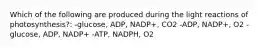 Which of the following are produced during the light reactions of photosynthesis?: -glucose, ADP, NADP+, CO2 -ADP, NADP+, O2 -glucose, ADP, NADP+ -ATP, NADPH, O2