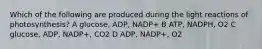 Which of the following are produced during the light reactions of photosynthesis? A glucose, ADP, NADP+ B ATP, NADPH, O2 C glucose, ADP, NADP+, CO2 D ADP, NADP+, O2