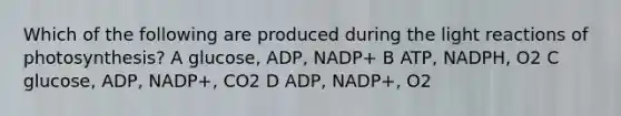 Which of the following are produced during the light reactions of photosynthesis? A glucose, ADP, NADP+ B ATP, NADPH, O2 C glucose, ADP, NADP+, CO2 D ADP, NADP+, O2