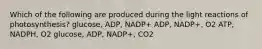 Which of the following are produced during the light reactions of photosynthesis? glucose, ADP, NADP+ ADP, NADP+, O2 ATP, NADPH, O2 glucose, ADP, NADP+, CO2