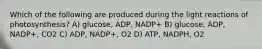 Which of the following are produced during the light reactions of photosynthesis? A) glucose, ADP, NADP+ B) glucose, ADP, NADP+, CO2 C) ADP, NADP+, O2 D) ATP, NADPH, O2