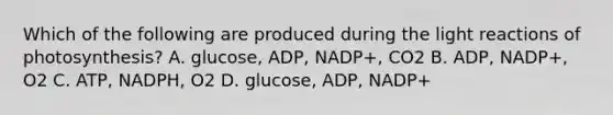 Which of the following are produced during the light reactions of photosynthesis? A. glucose, ADP, NADP+, CO2 B. ADP, NADP+, O2 C. ATP, NADPH, O2 D. glucose, ADP, NADP+