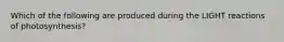 Which of the following are produced during the LIGHT reactions of photosynthesis?