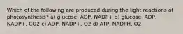 Which of the following are produced during the light reactions of photosynthesis? a) glucose, ADP, NADP+ b) glucose, ADP, NADP+, CO2 c) ADP, NADP+, O2 d) ATP, NADPH, O2