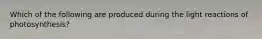 Which of the following are produced during the light reactions of photosynthesis?