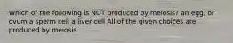 Which of the following is NOT produced by meiosis? an egg, or ovum a sperm cell a liver cell All of the given choices are produced by meiosis