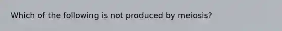 Which of the following is not produced by meiosis?