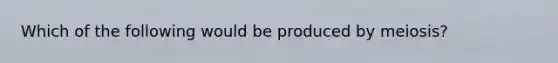 Which of the following would be produced by meiosis?