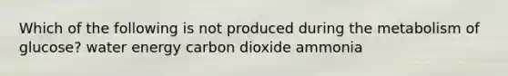 Which of the following is not produced during the metabolism of glucose? water energy carbon dioxide ammonia