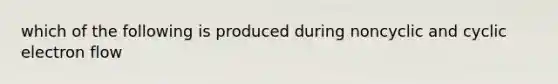 which of the following is produced during noncyclic and cyclic electron flow