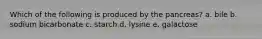 Which of the following is produced by the pancreas? a. bile b. sodium bicarbonate c. starch d. lysine e. galactose