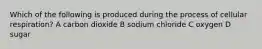 Which of the following is produced during the process of cellular respiration? A carbon dioxide B sodium chloride C oxygen D sugar