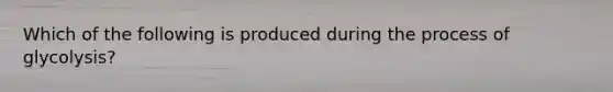 Which of the following is produced during the process of glycolysis?