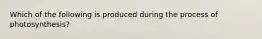 Which of the following is produced during the process of photosynthesis?