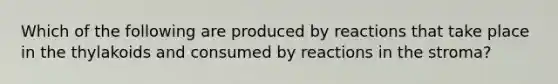 Which of the following are produced by reactions that take place in the thylakoids and consumed by reactions in the stroma?