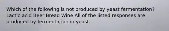 Which of the following is not produced by yeast fermentation? Lactic acid Beer Bread Wine All of the listed responses are produced by fermentation in yeast.