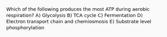 Which of the following produces the most ATP during aerobic respiration? A) Glycolysis B) TCA cycle C) Fermentation D) Electron transport chain and chemiosmosis E) Substrate level phosphorylation