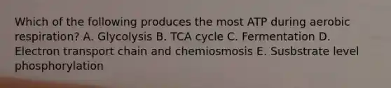 Which of the following produces the most ATP during aerobic respiration? A. Glycolysis B. TCA cycle C. Fermentation D. Electron transport chain and chemiosmosis E. Susbstrate level phosphorylation