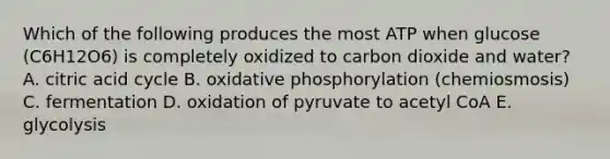 Which of the following produces the most ATP when glucose (C6H12O6) is completely oxidized to carbon dioxide and water? A. citric acid cycle B. oxidative phosphorylation (chemiosmosis) C. fermentation D. oxidation of pyruvate to acetyl CoA E. glycolysis