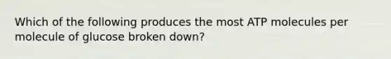 Which of the following produces the most ATP molecules per molecule of glucose broken down?