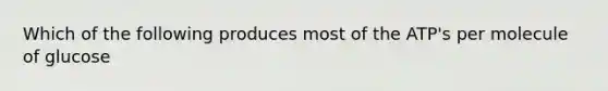 Which of the following produces most of the ATP's per molecule of glucose