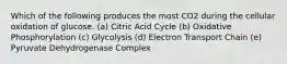 Which of the following produces the most CO2 during the cellular oxidation of glucose. (a) Citric Acid Cycle (b) Oxidative Phosphorylation (c) Glycolysis (d) Electron Transport Chain (e) Pyruvate Dehydrogenase Complex