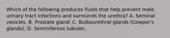 Which of the following produces fluids that help prevent male urinary tract infections and surrounds the urethra? A. Seminal vesicles. B. Prostate gland. C. Bulbourethral glands (Cowper's glands). D. Seminiferous tubules.