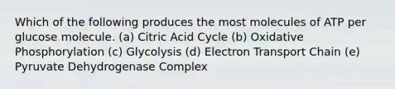 Which of the following produces the most molecules of ATP per glucose molecule. (a) Citric Acid Cycle (b) <a href='https://www.questionai.com/knowledge/kFazUb9IwO-oxidative-phosphorylation' class='anchor-knowledge'>oxidative phosphorylation</a> (c) Glycolysis (d) Electron Transport Chain (e) Pyruvate Dehydrogenase Complex