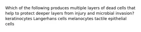 Which of the following produces multiple layers of dead cells that help to protect deeper layers from injury and microbial invasion? keratinocytes Langerhans cells melanocytes tactile epithelial cells