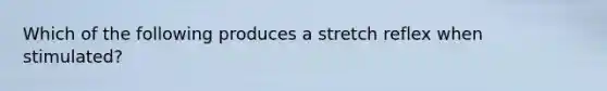 Which of the following produces a stretch reflex when stimulated?