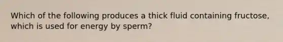 Which of the following produces a thick fluid containing fructose, which is used for energy by sperm?