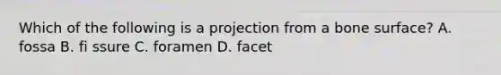 Which of the following is a projection from a bone surface? A. fossa B. fi ssure C. foramen D. facet