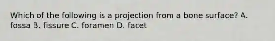 Which of the following is a projection from a bone surface? A. fossa B. fissure C. foramen D. facet