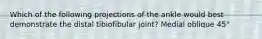 Which of the following projections of the ankle would best demonstrate the distal tibiofibular joint? Medial oblique 45°