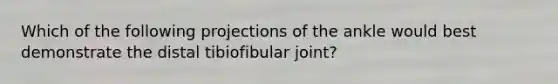 Which of the following projections of the ankle would best demonstrate the distal tibiofibular joint?