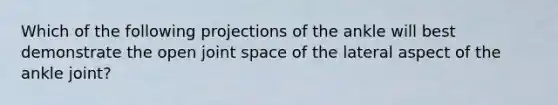 Which of the following projections of the ankle will best demonstrate the open joint space of the lateral aspect of the ankle joint?