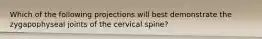 Which of the following projections will best demonstrate the zygapophyseal joints of the cervical spine?