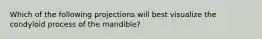 Which of the following projections will best visualize the condyloid process of the mandible?