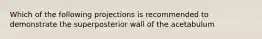 Which of the following projections is recommended to demonstrate the superposterior wall of the acetabulum