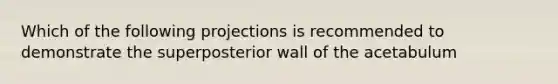 Which of the following projections is recommended to demonstrate the superposterior wall of the acetabulum