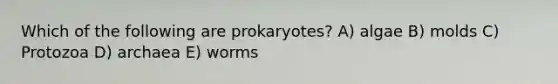 Which of the following are prokaryotes? A) algae B) molds C) Protozoa D) archaea E) worms