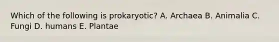 Which of the following is prokaryotic? A. Archaea B. Animalia C. Fungi D. humans E. Plantae