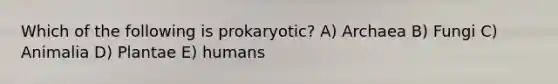 Which of the following is prokaryotic? A) Archaea B) Fungi C) Animalia D) Plantae E) humans